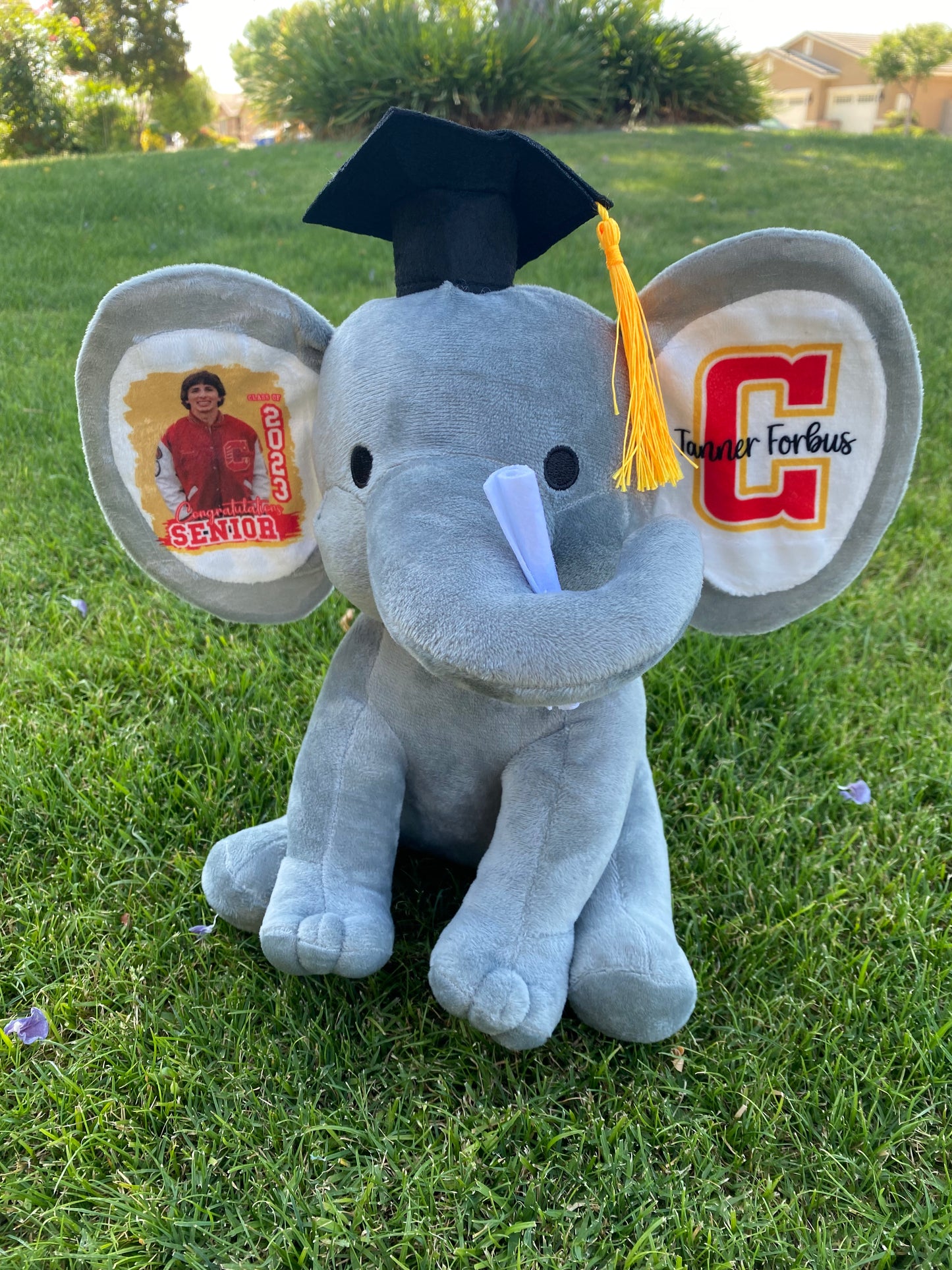 Custom sublimation Graduation plush elephant